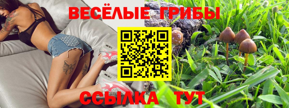 Галлюциногенные грибы Magic Shrooms Орёл