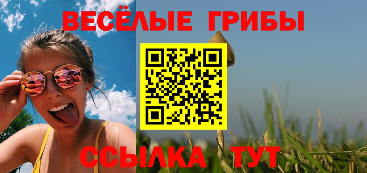 Орёл  Галлюциногенные грибы Magic Shrooms  Галлюциногенные грибы Magic Shrooms  Вход с VPN 